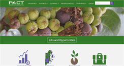 Desktop Screenshot of pactbelize.org